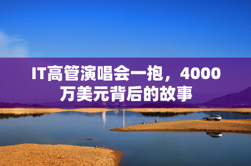 IT高管演唱会一抱，4000万美元背后的故事
