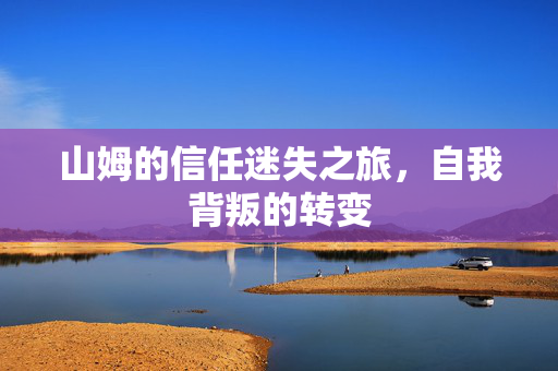 山姆的信任迷失之旅，自我背叛的转变