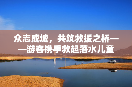 众志成城，共筑救援之桥——游客携手救起落水儿童