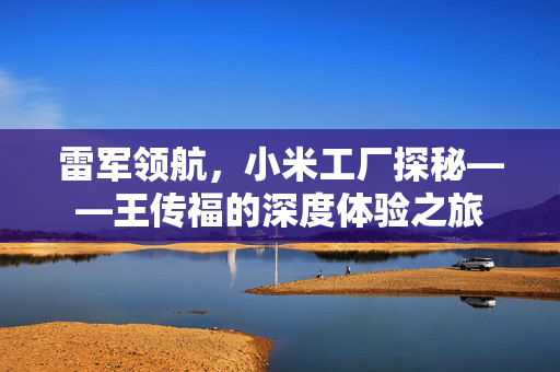 雷军领航，小米工厂探秘——王传福的深度体验之旅