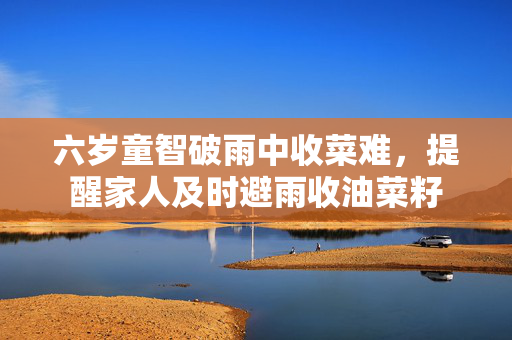 六岁童智破雨中收菜难，提醒家人及时避雨收油菜籽