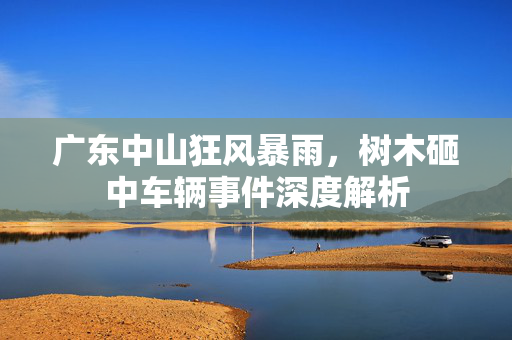 广东中山狂风暴雨，树木砸中车辆事件深度解析