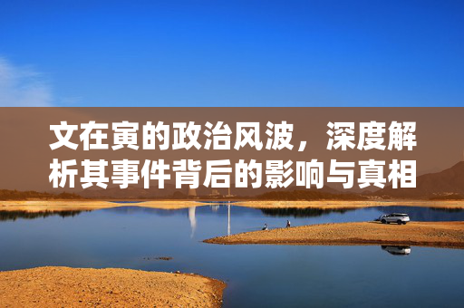 文在寅的政治风波，深度解析其事件背后的影响与真相