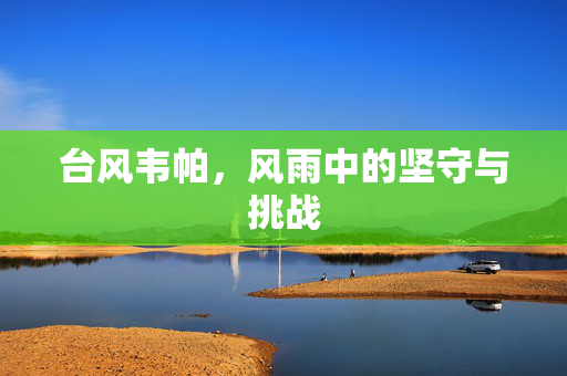 台风韦帕，风雨中的坚守与挑战