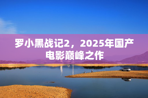 罗小黑战记2，2025年国产电影巅峰之作