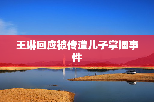 王琳回应被传遭儿子掌掴事件