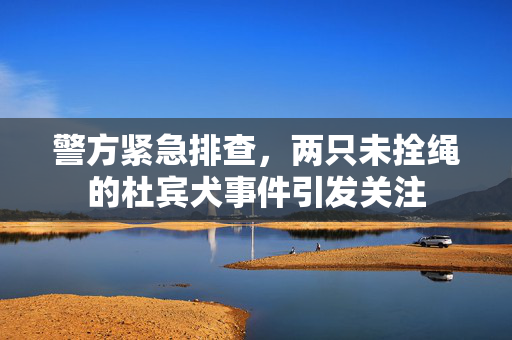 警方紧急排查，两只未拴绳的杜宾犬事件引发关注
