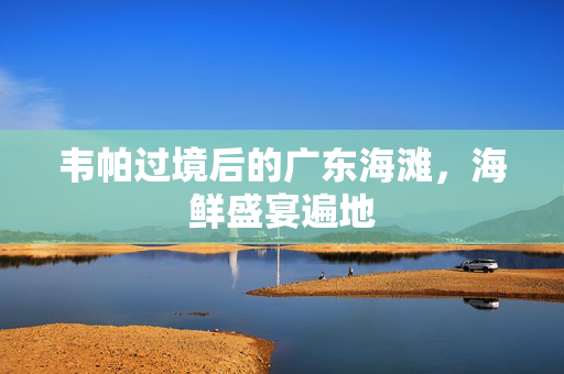 韦帕过境后的广东海滩，海鲜盛宴遍地