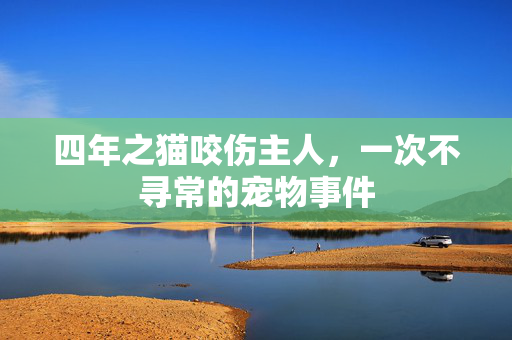 四年之猫咬伤主人，一次不寻常的宠物事件