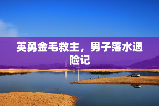 英勇金毛救主，男子落水遇险记