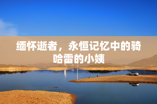 缅怀逝者，永恒记忆中的骑哈雷的小姨