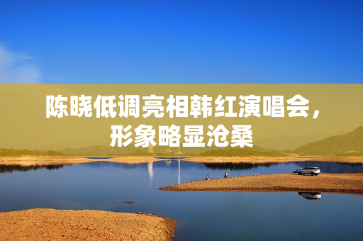 陈晓低调亮相韩红演唱会，形象略显沧桑