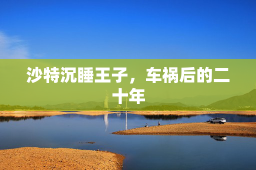 沙特沉睡王子，车祸后的二十年