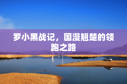罗小黑战记，国漫翘楚的领跑之路