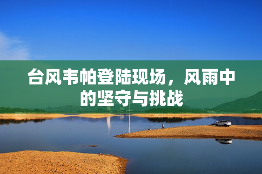 台风韦帕登陆现场，风雨中的坚守与挑战