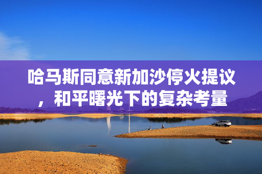 哈马斯同意新加沙停火提议，和平曙光下的复杂考量
