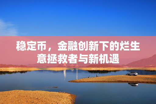 稳定币，金融创新下的烂生意拯救者与新机遇