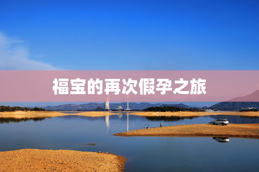 福宝的再次假孕之旅