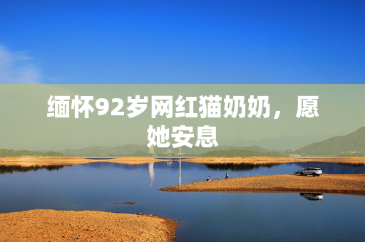 缅怀92岁网红猫奶奶，愿她安息