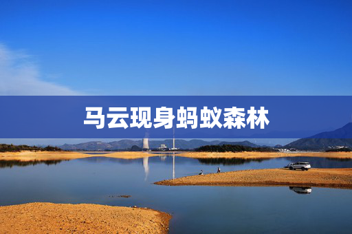 马云现身蚂蚁森林