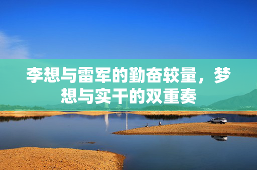 李想与雷军的勤奋较量，梦想与实干的双重奏