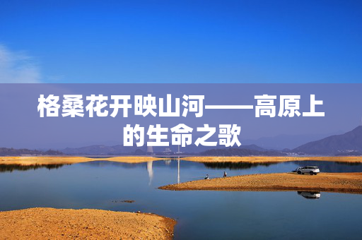 格桑花开映山河——高原上的生命之歌