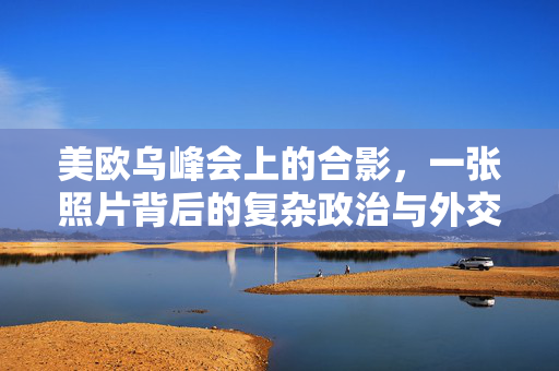 美欧乌峰会上的合影，一张照片背后的复杂政治与外交博弈