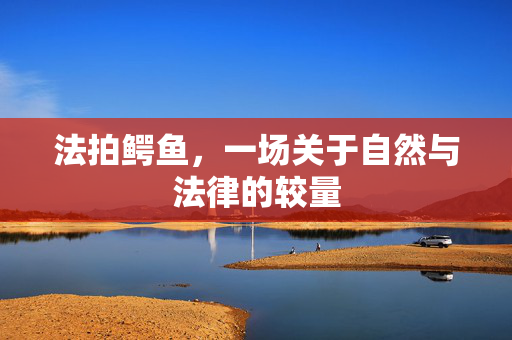 法拍鳄鱼，一场关于自然与法律的较量