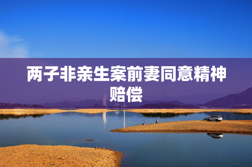两子非亲生案前妻同意精神赔偿
