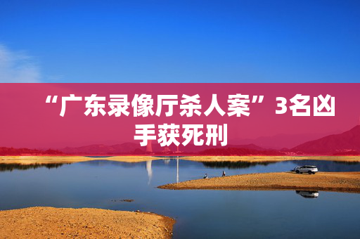 “广东录像厅杀人案”3名凶手获死刑