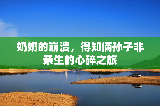 奶奶的崩溃，得知俩孙子非亲生的心碎之旅