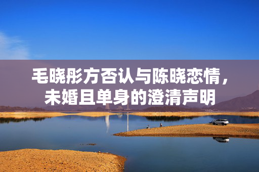 毛晓彤方否认与陈晓恋情，未婚且单身的澄清声明