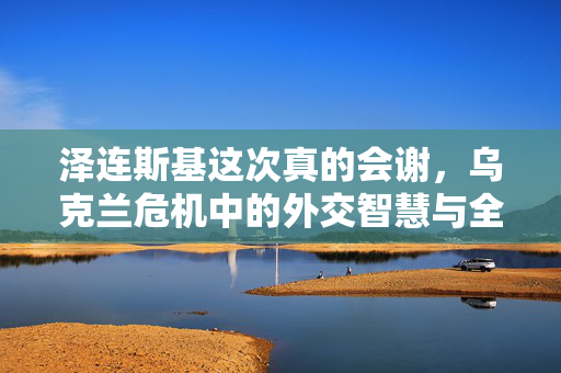 泽连斯基这次真的会谢，乌克兰危机中的外交智慧与全球合作新篇章