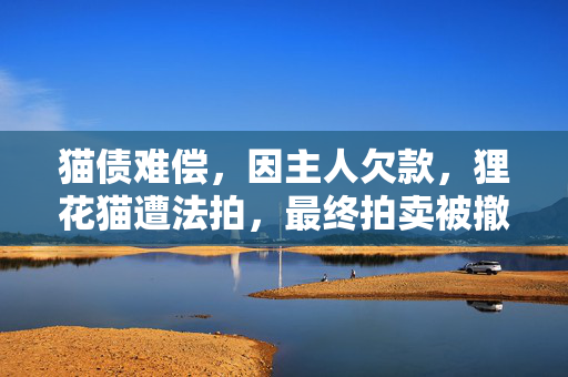 猫债难偿，因主人欠款，狸花猫遭法拍，最终拍卖被撤销的温情故事