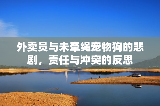 外卖员与未牵绳宠物狗的悲剧，责任与冲突的反思