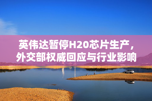英伟达暂停H20芯片生产，外交部权威回应与行业影响分析