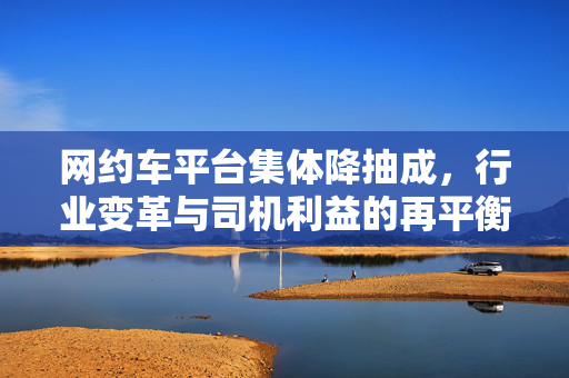 网约车平台集体降抽成，行业变革与司机利益的再平衡