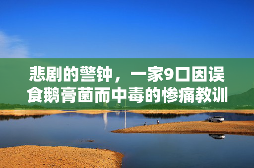 悲剧的警钟，一家9口因误食鹅膏菌而中毒的惨痛教训