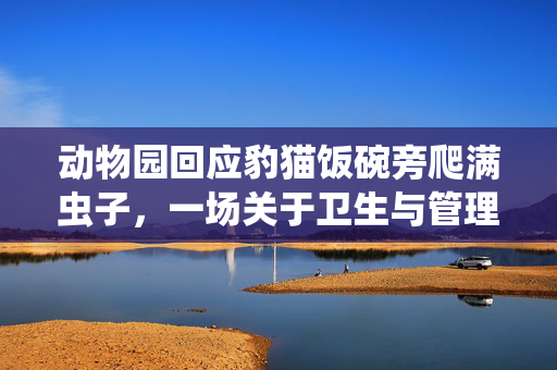 动物园回应豹猫饭碗旁爬满虫子，一场关于卫生与管理的深刻反思