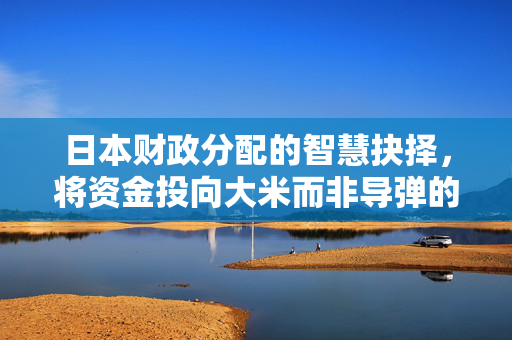 日本财政分配的智慧抉择，将资金投向大米而非导弹的深思
