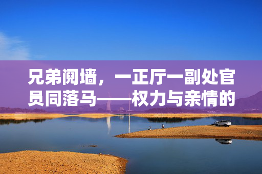 兄弟阋墙，一正厅一副处官员同落马——权力与亲情的双重沦陷