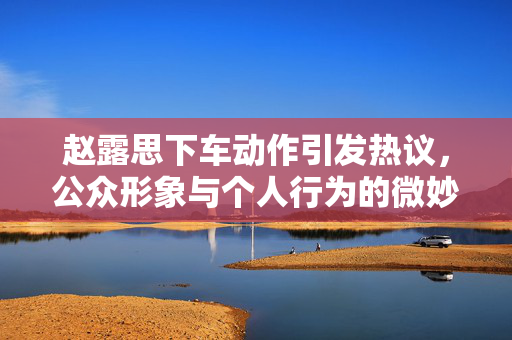 赵露思下车动作引发热议，公众形象与个人行为的微妙关系