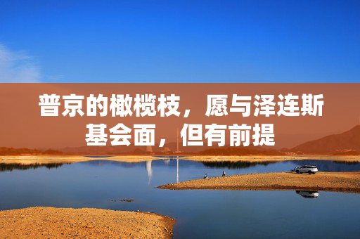 普京的橄榄枝，愿与泽连斯基会面，但有前提