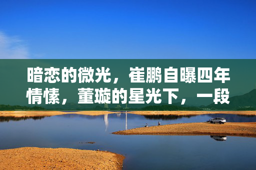 暗恋的微光，崔鹏自曝四年情愫，董璇的星光下，一段未说出口的恋曲