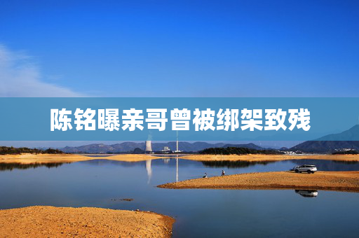 陈铭曝亲哥曾被绑架致残