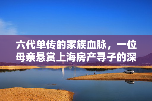 六代单传的家族血脉，一位母亲悬赏上海房产寻子的深情呼唤