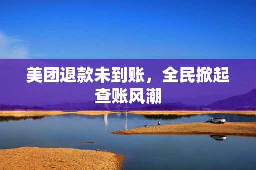 美团退款未到账，全民掀起查账风潮