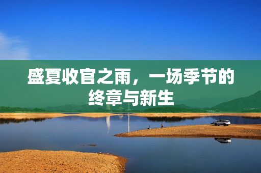 盛夏收官之雨，一场季节的终章与新生
