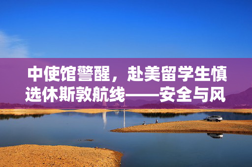 中使馆警醒，赴美留学生慎选休斯敦航线——安全与风险并行的留学之路