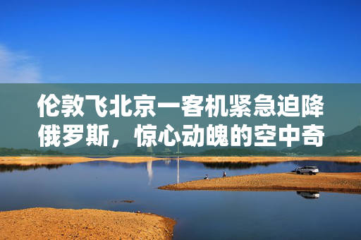 伦敦飞北京一客机紧急迫降俄罗斯，惊心动魄的空中奇迹